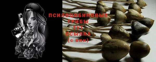 стафф Алексеевка