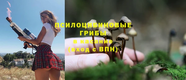 стафф Алексеевка