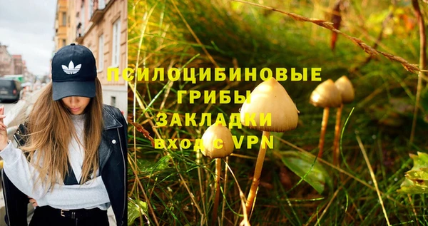 стафф Алексеевка