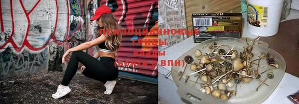 Альфа ПВП Алзамай